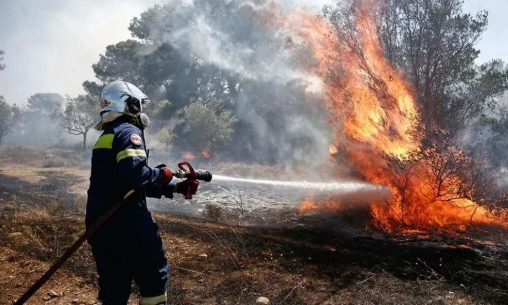 Αλβανία: Δραματική η κατάσταση από τις φωτιές - Η κατάσταση έχει ξεφύγει από τον έλεγχο είπε ο ΥΠΕΞ